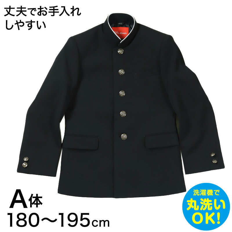 学生服 詰衿上衣 ソフトラウンドカラー カンコーストリード 180cmA〜195cmA (カンコー 制服 学校 学生 高校生) (送料無料)【取寄せ】