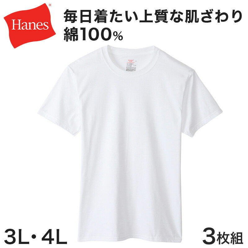 إ 롼ͥåT 3 BIG 3L4L (Hanes Global Value Line 100 ʡ  ȩ )