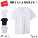 ヘインズ メンズ Tシャツ Vネック インナー 半袖 綿 3枚組 M〜LL Hanes 綿100 インナーシャツ アンダーウェア 肌着 下着 男性 無地 v首 ...