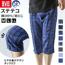 ステテコ メンズ 綿100% 夏 bvd 前とじ M L LL BVD 部屋着 ルームウェア パンツ パジャマ ズボン ボトム 涼しい bvd 父の日 すててこ...