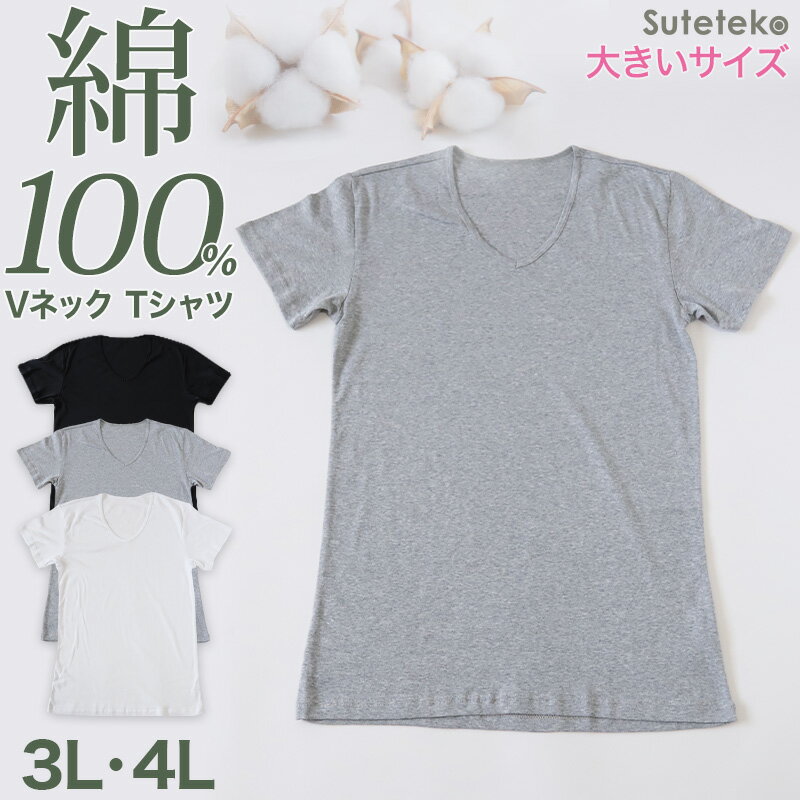 メンズ 綿100% Vネック Tシャツ 3L・4L (大きいサイズ 男性 紳士 半袖 下着 肌着 インナー 抗菌 防臭 3L 4L 白 黒 グレー V首) 1