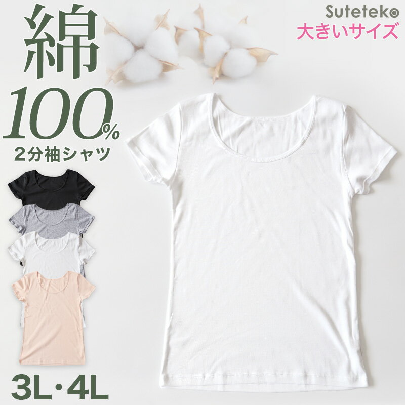 綿100 インナー レディース 半袖 2分袖 tシャツ 大きいサイズ 3L 4L 肌着 綿 シャツ 下着 女性 婦人 コットン 無地 白 グレー 黒 ベージュ シンプル