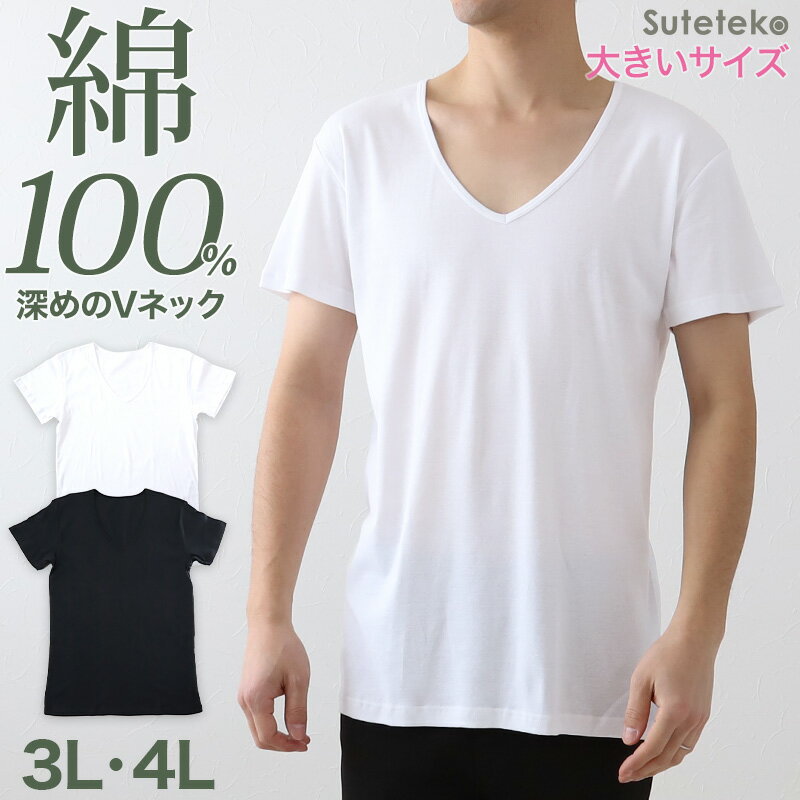 楽天下着・靴下のすててこねっと【6/25はエントリー+抽選で最大100％ポイントバック】メンズ 綿100％ 深Vネック Tシャツ 3L・4L （大きいサイズ 男性 紳士 半袖 下着 肌着 インナー 抗菌 防臭 3L 4L 白 黒 V首）