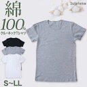 メンズ 綿100 クルーネック Tシャツ S～LL (インナーシャツ 半袖 丸首 下着 肌着 インナー 抗菌 防臭 臭い M L LL 白 黒 グレー 男性 紳士)