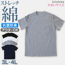 【6/25はエントリー+抽選で最大100%ポイントバック】Tシャツ 半袖 メンズ 綿 3L・4L ( ストレッチ シャツ インナーシャツ クルーネック トップス )
