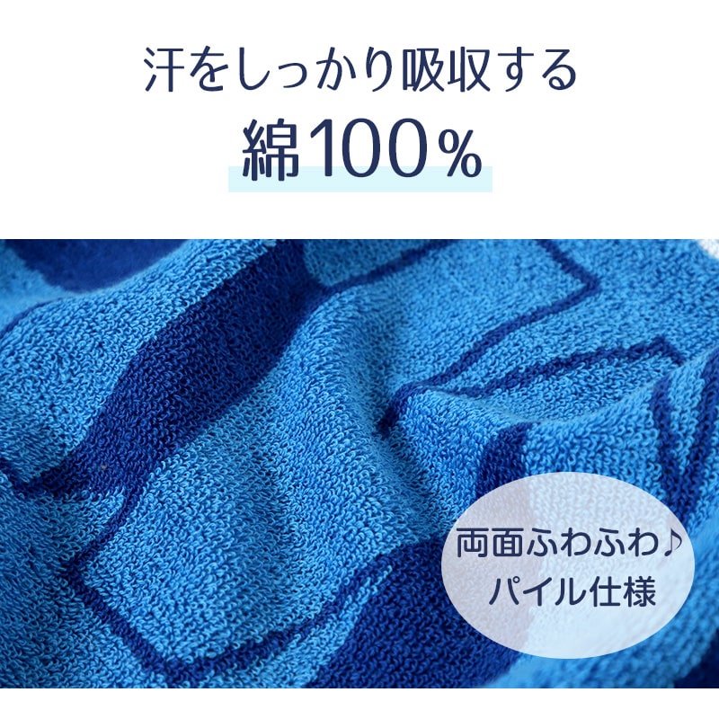 スポーツタオル ブランド タオル スポーツ コンバース ミズノ 綿100% 約34×110cm (...