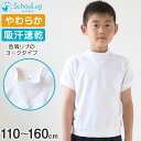 体操服 半袖 ヨーク 体操着 小学生 小学校 男子 女子 110~160cm V型 ヨーク襟 白 女の子 男の子 速乾 子供 綿 半そで キッズ