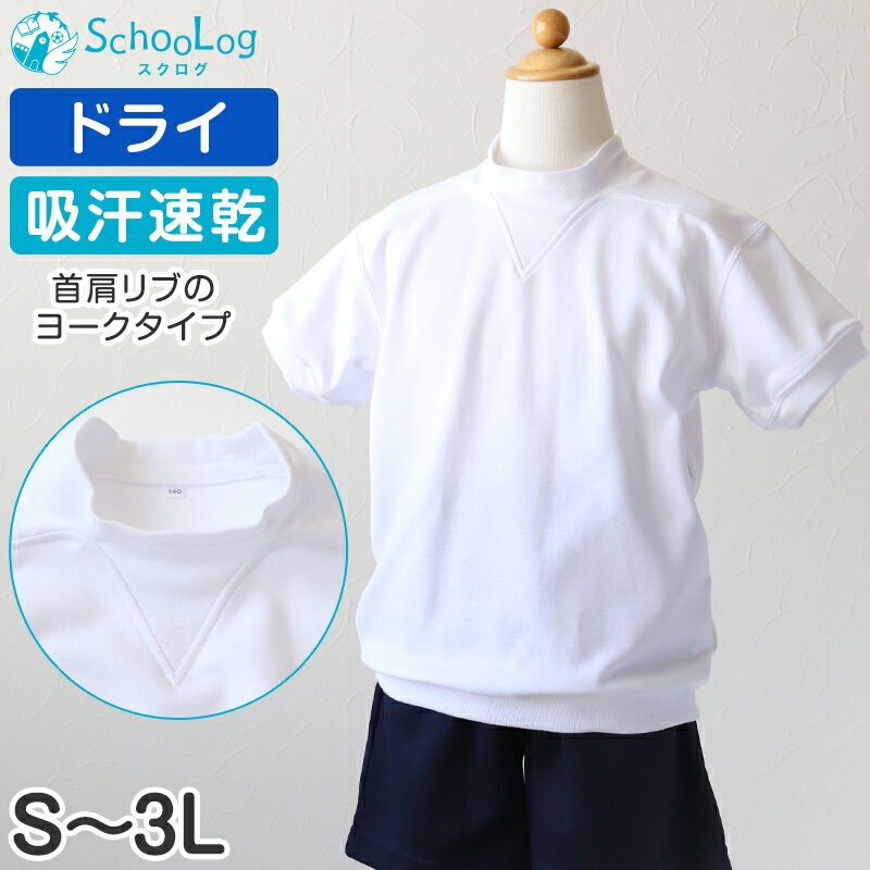  Ⱦµ ɥ饤 ® 礭 ˻  S3L (V   ع λ ˤλ ɥ饤 ® Ҷ ʺ ...