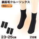 ふわっとやわらか 160デニール 裏起毛 クルーソックス 2足組 23-25cm (レディース 保温 靴下)【在庫限り】