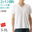 ヘインズ tシャツ メンズ 綿100% 半袖 vネック インナー 下着 2枚組 S~XL hanes ジャパンフィット 紳士 肌着 男性 インナーシャツ v首 コットン 綿 無地 S M L LL