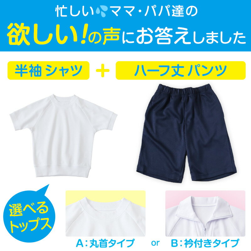 ��4/15���ꡪ�����Ǻ���100%P�Хå��ۡ���˥塼����� ������ �岼���å� Ⱦµ �ϡ��եѥ�� ������ ������ ���ع� 2�����å� 110��160cm �岼 ���å� �˻� ���� Ⱦ���� Ⱦ���ܥ� û�ѥ� �������� �ΰ� ���ؤ� �Ҷ� �Ҥɤ� ���å� (����̵��)
