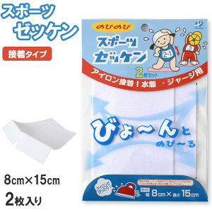 伸縮 ゼッケン アイロン接着 伸びる 2枚入り 8×15cm (スクールゼッケン ゼッケンテープ スポーツ スク水 水着 ジャージ スポーツウェア 運動着 大会 伸縮性 粘着力 マーキング) (手芸用品)