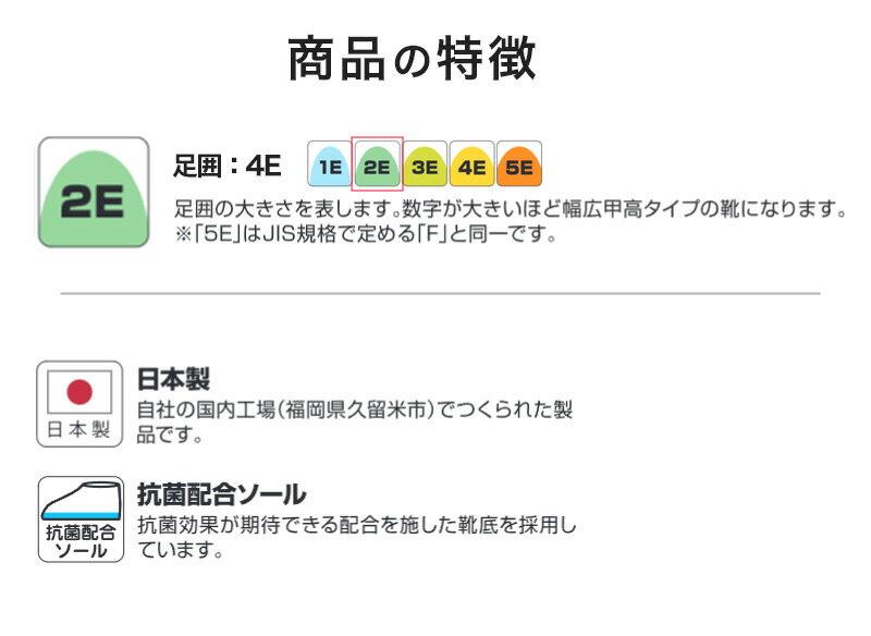 ������ �����ҥ��塼�� �Х쥨���塼�� �Ҷ� �巤 ���å� �Х졼���塼�� �ӥˡ��� 14cm��27cm �����ҥ��塼�� ������ ���ع� ������ �巤 �������� �⥺�å� �ع� ��ع� �������� ����Ф� �����Ф��ڼ�󤻡�