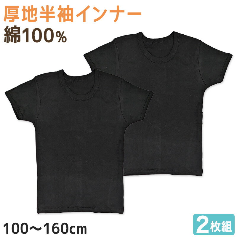 Ҷ Ⱦµ 100 ʡ  2   100cm160cm   ȩ ˻ ˻ Ҷȩ Ҥɤ å ...