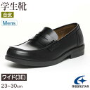 【7/20エントリー★抽選で最大100%ポイントバック】ローファー 合皮 男子 メンズ 学生靴 通学靴 通学履き 外履き スクールシューズ 23cm~30cm ムーンスター moonstar 学校 中学校 高校 ジュニア 靴 黒 3E 冠婚葬祭 (送料無料)【取寄せ】