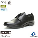 【要エントリー★7/5は最大100%ポイントバック!】合皮 通学靴 紐靴 男子 メンズ 学生靴 革靴 通学履き 外履き スクールシューズ 22cm〜30cm ム...
