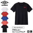 【6/5限定★抽選で最大300%ポイントバック 要エントリー】アンブロ メンズ tシャツ 半袖 スポーツ 速乾 メッシュ M・L グンゼ トレーニングウェア ス...