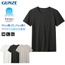 アセドロン クルーネック Tシャツ グンゼ 鹿の子 クールマジック メンズ M〜LL gunze coolmagic 吸汗速乾 消臭 丸首 半袖 シャツ 下着 ...