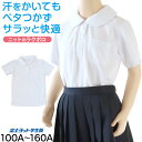 小学生 ニット 半袖 丸襟 ポロシャツ 100A~160A 富士ヨット スクールシャツ 女の子 女子 学生 120 130 140 150