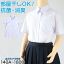 【要エントリー★7/5は最大100%ポイントバック!】スクールシャツ 女子 半袖 中学生 高校生 白 台襟 ブラウス スクールブラウス 140A~180B 富士ヨット TioTio 通学 女の子 学生 学生シャツ 145 150 155 160 165 170 175