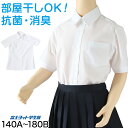 【要エントリー★7/5は最大100%ポイントバック!】スクールシャツ 女子 半袖 中学生 高校生 白 ブラウス スクールブラウス 140A~180B 富士ヨット TioTio 通学 女の子 学生 学生シャツ 145 150 155 160 165 170 175