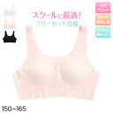 ハーフトップ 子供 シームレス ファーストブラ ジュニアブラ ブラジャー ノンワイヤー アウターにひびきにくい 150 160 165 キッズ ジュニア 女の子 中学生 下着 インナー 女子