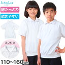 体操服 半袖 襟付き 小学生 体操着 小学校 男子 女子 110~160cm 襟 速乾 半そで 白 ファスナー 衿つき 運動着 女の子 男の子 子供 キッズ スクール 綿 体育 (送料無料)【在庫限り】