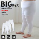 大きいサイズ ズボン下 メンズ 綿100 3L 4L 5L 長ズボン 吸湿発熱 コットン ビッグ ロング 大寸 大きめ でかい ふくらはぎ ふともも 肥満 マッチョ 筋肉 体型カバー さるまた ステテコ ボトム ももひき むきむき むちむち