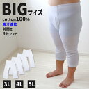 大きいサイズ ロングパンツ メンズ 綿100 前開き 3L 4L 5L 長ズボン 吸水速乾 コットン ビッグ ロング 大寸 大きめ でかい ふくらはぎ ふともも 肥満 マッチョ 筋肉 体型カバー さるまた ステテコ ボトム ももひき 股引 パッチ むきむき むちむち