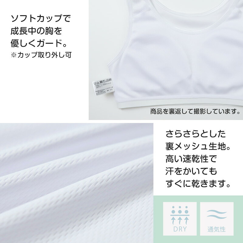 【4/15限定!抽選で最大100%Pバック】ハ...の紹介画像3