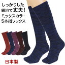 5本指靴下 ハイソックス レディース 22-24cm (5本指ソックス 五本指 ソックス 女性 22cm 23cm 日本製 丈夫 カラフル)【在庫限り】