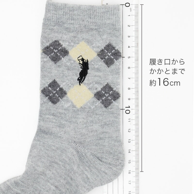 靴下 レディース クルーソックス POLO p...の紹介画像3