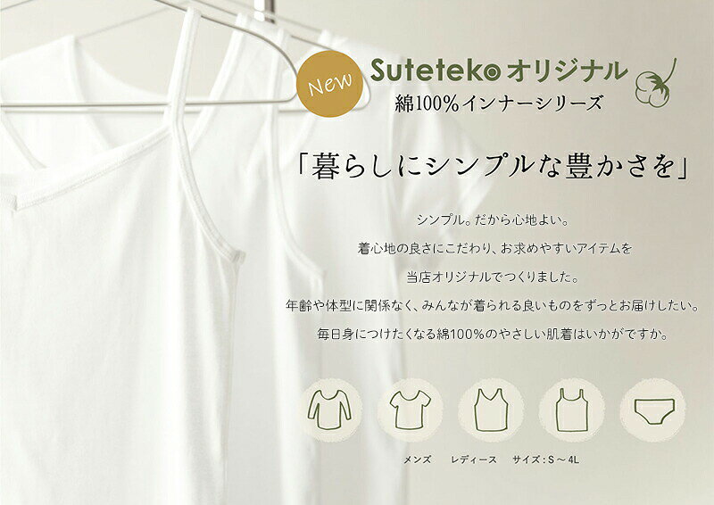 ステテコ メンズ 綿100％ ズボン下 下着 3枚セット 3L 4L 前開き ひざ下丈 抗菌防...