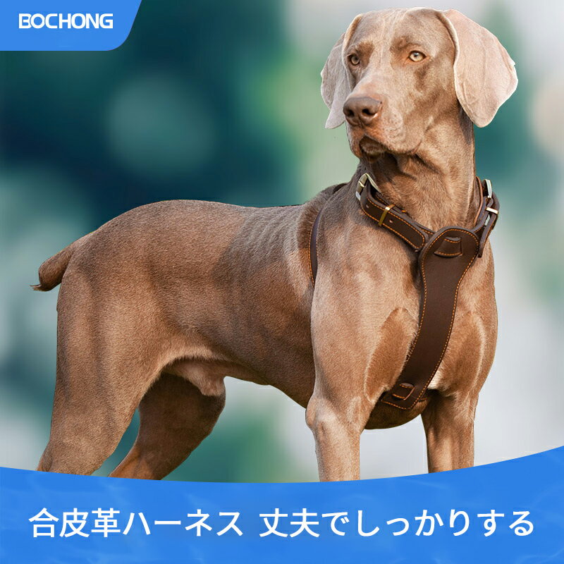 Rakuten - ペット用ドライブボックス ペット用ドライブシート ペット用品 犬用 猫用 カーシート