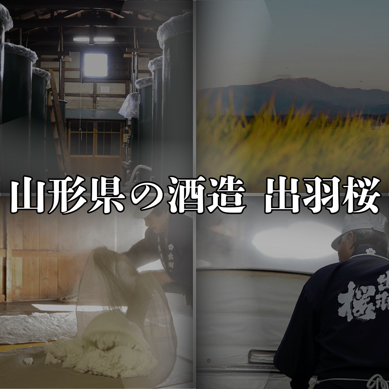 �б��� ���ż� 750g 1�� ����̵�� �������ء���¢ȯ�� �������� �ƹ����� �Υ󥢥륳���� �ż�