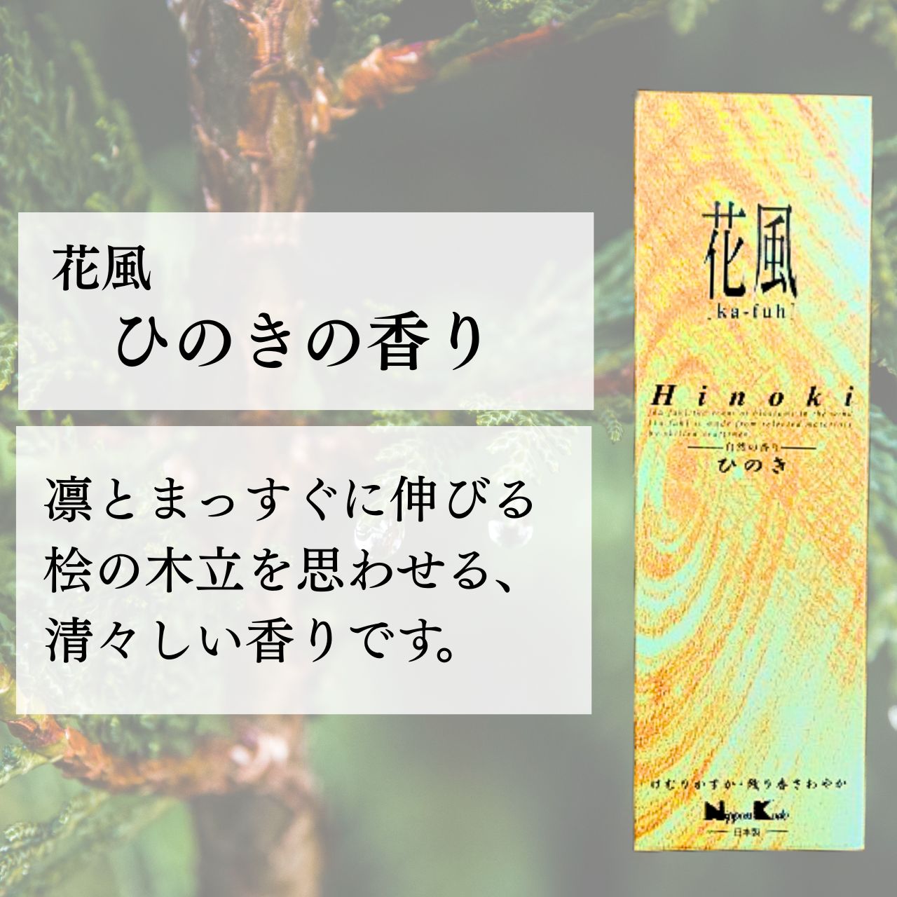 ���� ���� �ҤΤ� ���Х�� ���ܹ�Ʋ �᡼���� ��������� ����̵�� ���󤳤� ������ ��ʩ�� ������ ������ £�� £�� ���å� ��ʪ ������ ���渫��£��ʪ