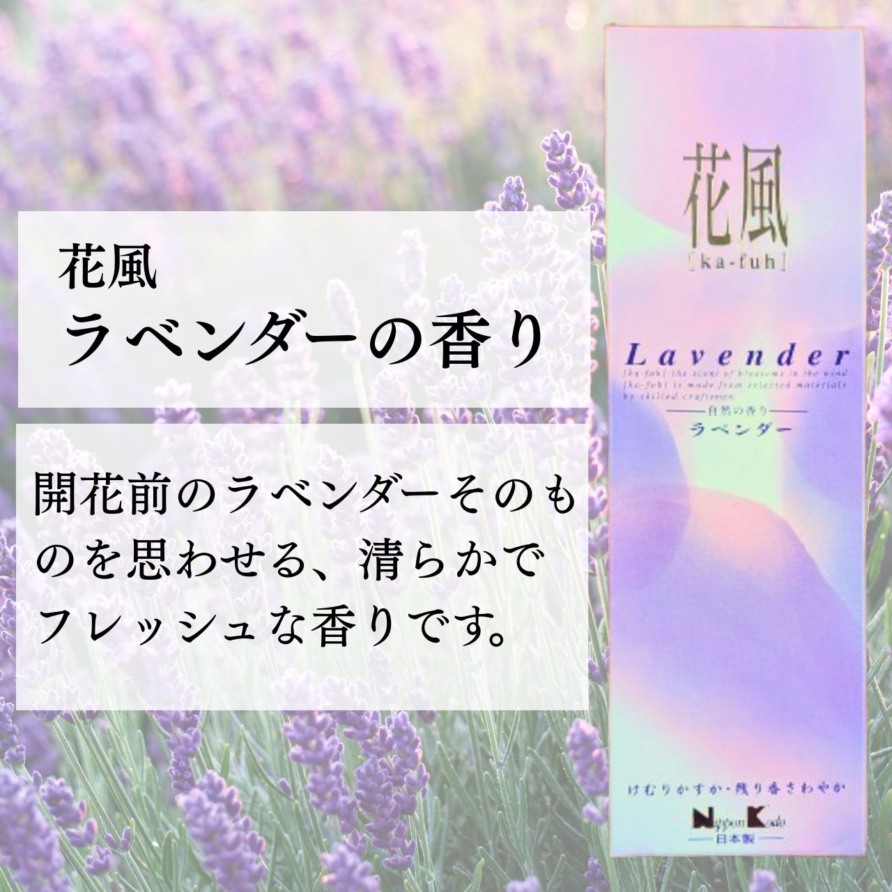 ���� ���� ��٥���� ���Х�� ���ܹ�Ʋ �᡼���� ��������� ����̵�� ���󤳤� ������ ��ʩ�� ������ ������ £�� £�� ���å� ��ʪ ������ ���渫��£��ʪ