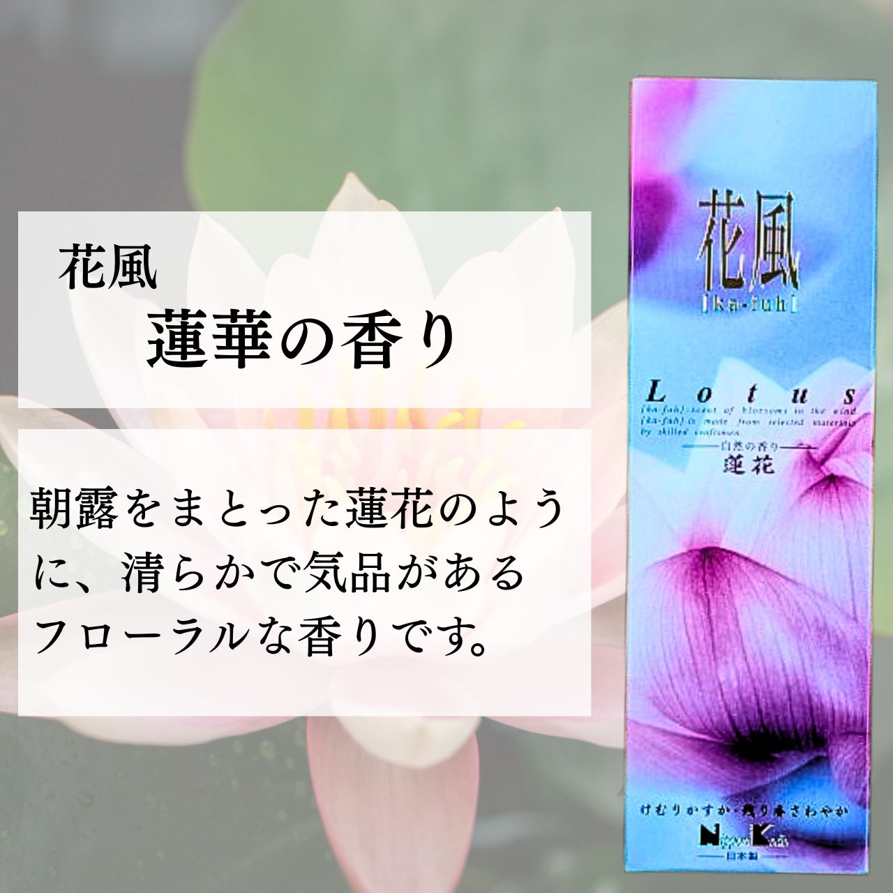 ���� ���� ϡ�� ���Х�� ���ܹ�Ʋ �᡼���� ��������� ����̵�� ���󤳤� ������ ��ʩ�� ������ ������ £�� £�� ���å� ��ʪ ������ ���渫��£��ʪ