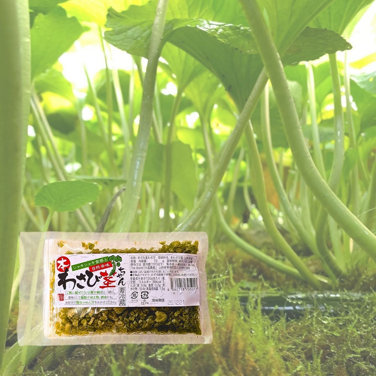 山形産 本わさび 茎ちゃん 4個入り 送料無料