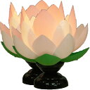 【9日20:00〜 最大15%OFFクーポン×ポイント20倍】 盆提灯 常花蓮華 一対 コンセント式 18cm お盆 送料無料 仏壇店の安心品質
