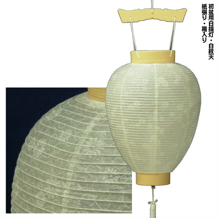 乐天商城 - 白提灯 中尺柾白紋天 40cm 1個 提灯のみ
