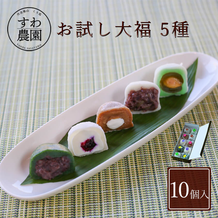 わかさいも 12個入り　北海道銘菓　昆布・醤油を使用したお菓子　洞爺湖　わかさいも本舗　　和菓子　個包装