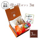 ギフト 3種 夏 残暑見舞い 敬老の日 彼岸 高級 ギフト お供え プチギフト 内祝い 小分け お礼 職場復帰 お土産 個包装 香典 挨拶 見舞い 法要 お祝い 丹波篠山 お菓子 スイーツ 洋菓子 栗 パイ 栗 どら焼き 詰合せ
