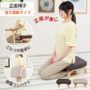 【ポイント最大47倍 お買い物マラソン】ricca(リッカ) 正座椅子 高さ調整タイプ / 母の日 ギフト あぐら椅子 コンパクト座椅子 美姿勢 正座用 腰痛 ...