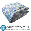 西川 洗えるダウンケット シングルロング 150×210cm ダウン70% KE01705501 ブルー 肌掛け 薄掛け 夏掛け 送料無料(インテリア/寝具/フ...