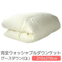 【5,000円OFFクーポン】 羽毛布団 夏用 洗える ダウンケット 羽毛肌 クィーン 210×210cm 撥水加工グース使用 完全ウォッシャブルダウンケット(...