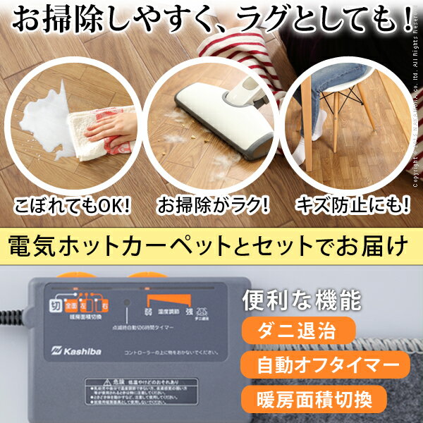 [全商品ポイント5倍]ホットカーペット カバー 防水 木目調ホットカーペット・カバー 〔ウッディ〕 2畳用(198x200) ホットカーペット+カバーセット セット 電気カーペット ラグ マット