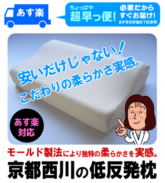 京都西川 ふんわりタッチ低反発まくら専用カバー付き2,980円[送料無料] [あす楽対応] pillow (低反発枕/枕/低反発枕/まくら/ギフト 贈り物 頚椎 マクラ 肩こり 首痛 首こり 肩こり ブランド寝具 安眠 母の日ラッピング無料) RCP[▼送無]