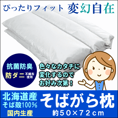 [ポイント10倍]送料無料 あっ、これいいね！！ぴったりフィット変幻自在_抗菌防臭_防ダニ「北海道産そばがら枕」50×72cm専用ピロケース付[▼送無] RCP