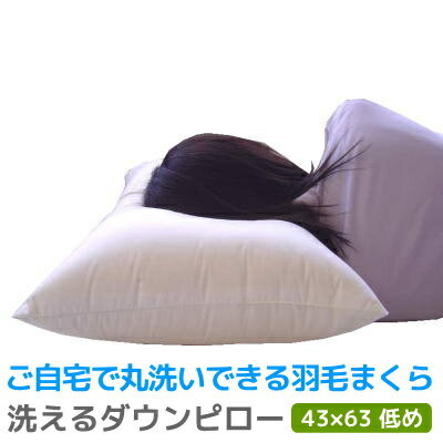 【300円OFFクーポン】 洗える ダウンピロー 羽毛 枕 